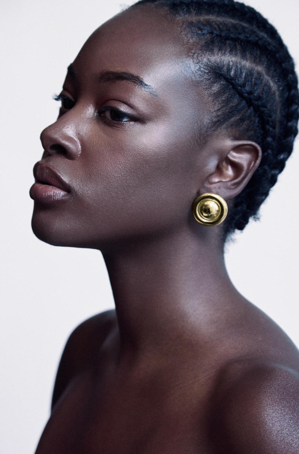 House Gold Studs - Heritage Inspired Bold Gold-Toned Statement Earrings